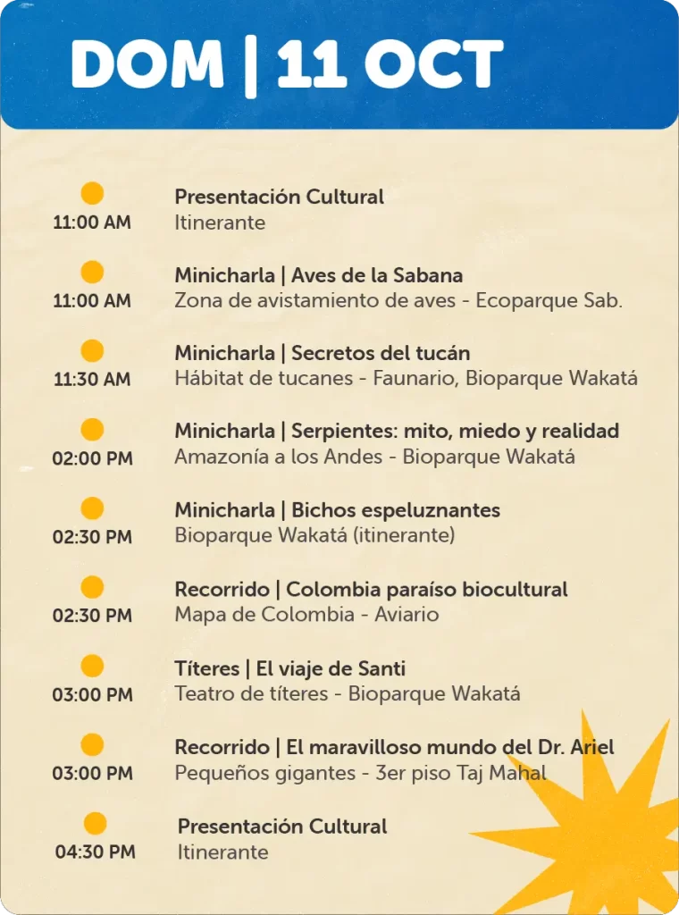 Programaciones para Página Web - Octubre11 de Oct