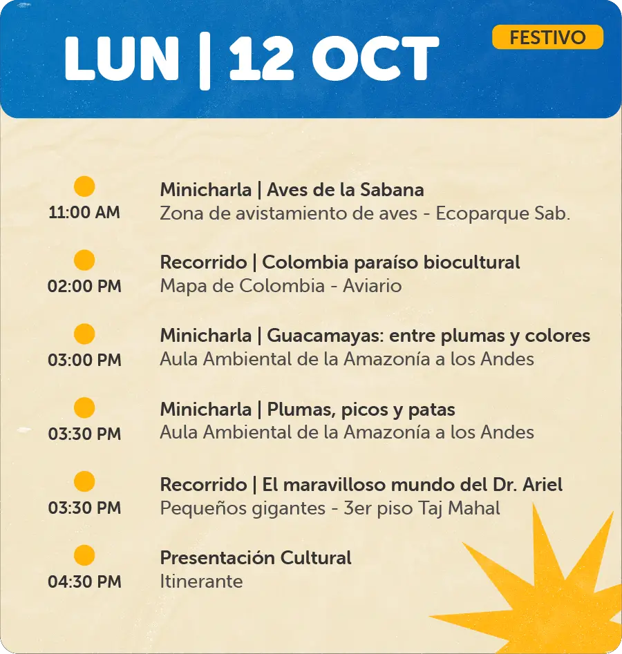 Programaciones para Página Web - Octubre12 de Oct