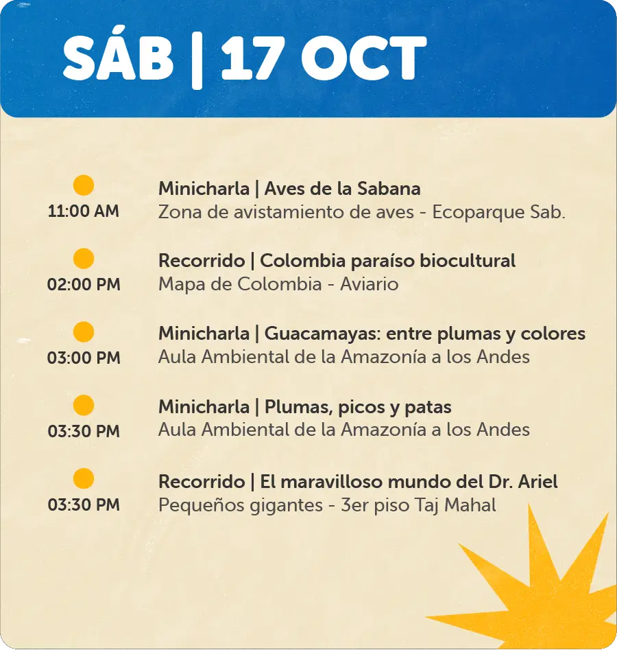Programaciones para Página Web - Octubre17 de Oct