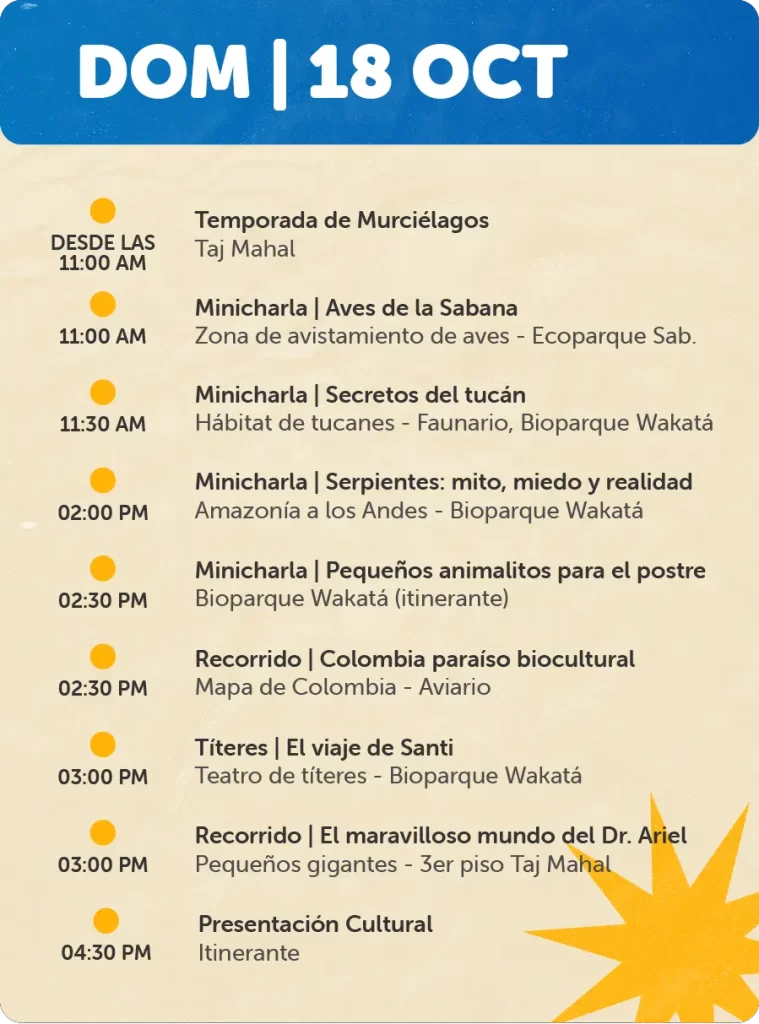 Programaciones para Página Web - Octubre18 de Oct