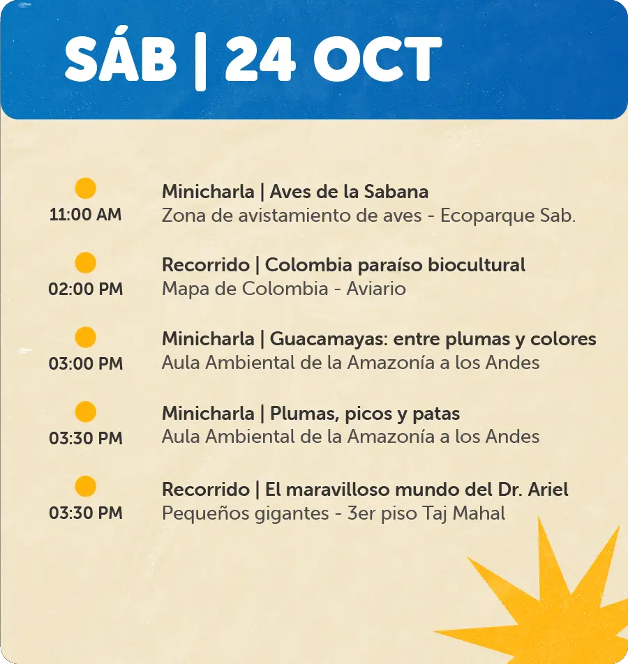 Programaciones para Página Web - Octubre24 de Oct