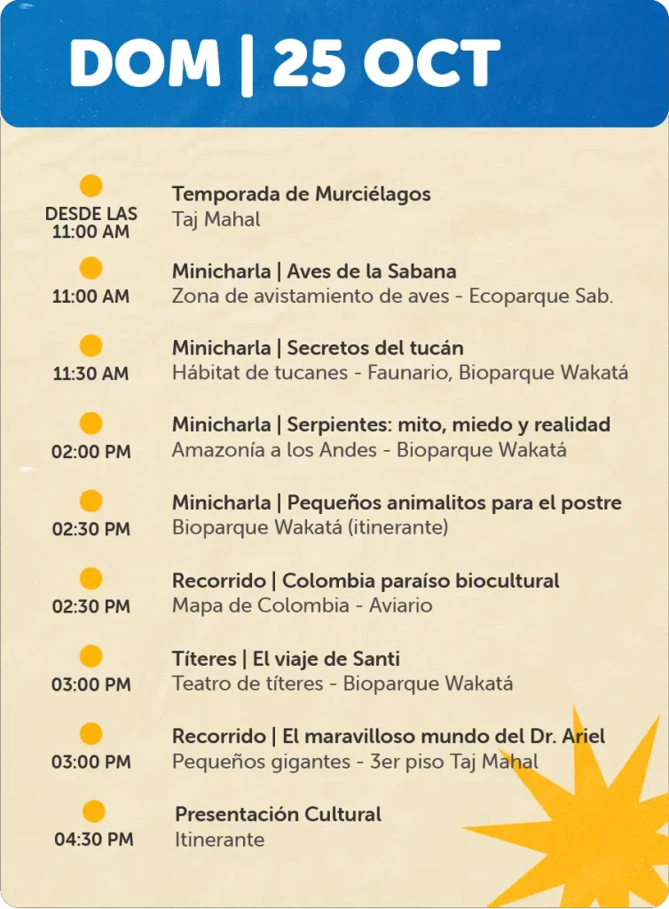 Programaciones para Página Web - Octubre25 de Oct