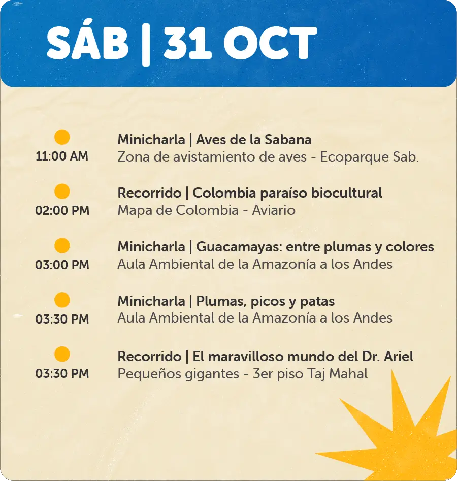 Programaciones para Página Web - Octubre31 de Oct