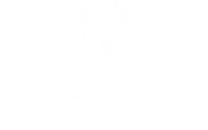 Logo ministerio de ciencia y tecnologia de colombia - blanco