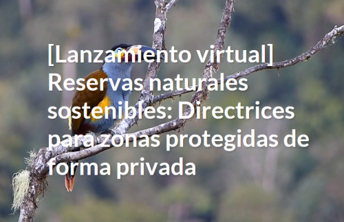 [Lanzamiento virtual] Reservas naturales sostenibles: Directrices para zonas protegidas de forma privada