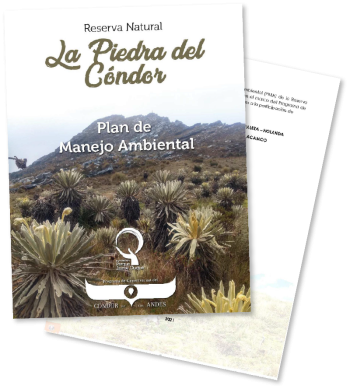 PMA Piedra del Cóndor