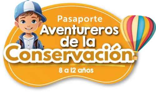 Pasaportes escolares_1