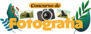 fotografia