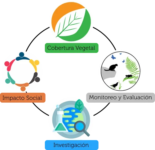 lineas de accion programa arboles para mi pais
